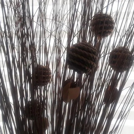 Pensjonat Haselmann 2*